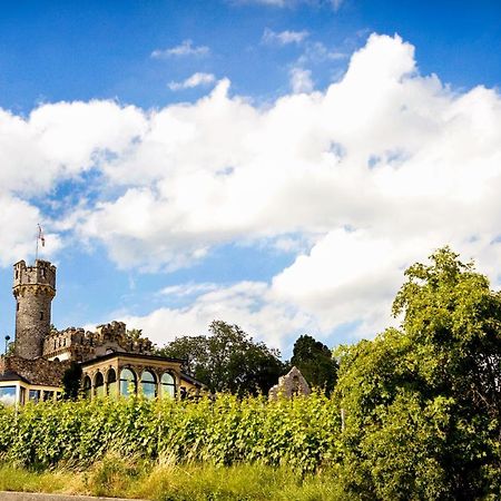 Burg & Gaestehaus By Schwarzenstein Geisenheim Dış mekan fotoğraf