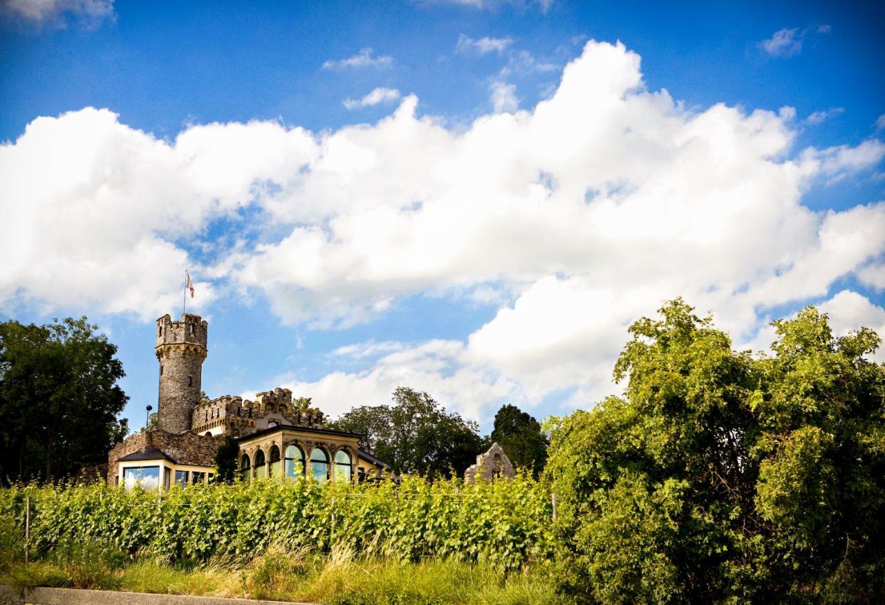 Burg & Gaestehaus By Schwarzenstein Geisenheim Dış mekan fotoğraf